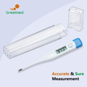 Thermomètre Digital