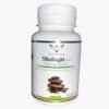 HEALTH POWER – Shilajit Bio – 60 Gélules