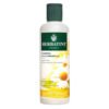 HERBATINT – Shampoing À La Camomille – 260ml