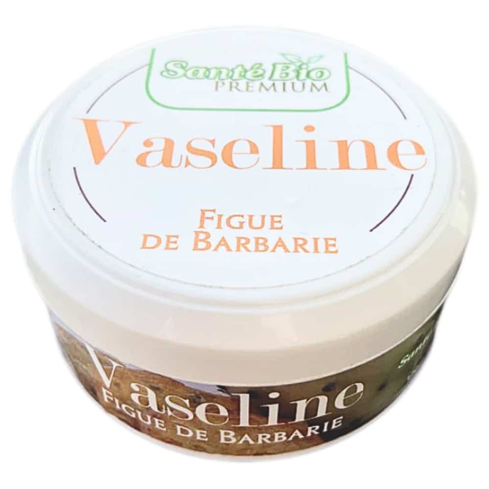SANTÉ BIO – Vaseline Figue De Barbarie – 120ml