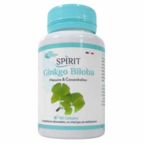 SPIRIT PHARMA – Ginkgo Biloba 90 Gelules