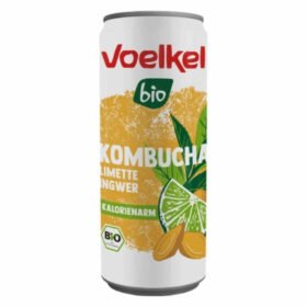 VOELKEL – Kombucha, Citron Vert Et Gingembre Bio – 250ml